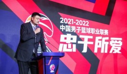 执行官最新爆料新闻报道,执行官最新爆料，揭开行业黑幕！”