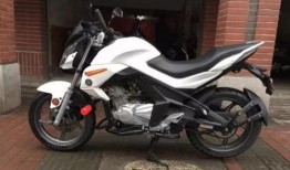 国产新机车爆料最新消息,性能卓越，引领绿色出行新潮流