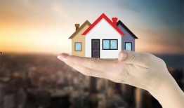 史上最新爆料小绿屋是谁,史上最新爆料，小绿屋究竟是谁？